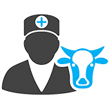 Cow Vet